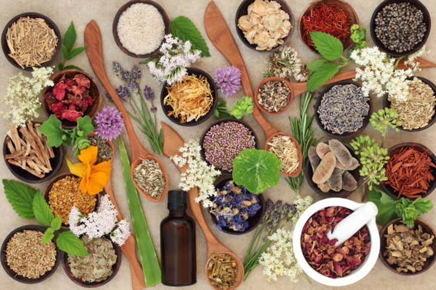 Metodo di cura basato su essenze vegetali: l’aromaterapia